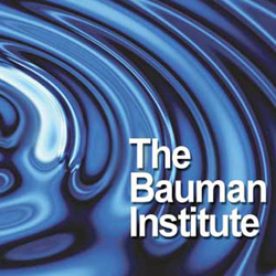 Bauman Institute logo 